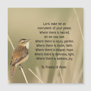 St. Francis of Assisi Prayer Bird Inspirational