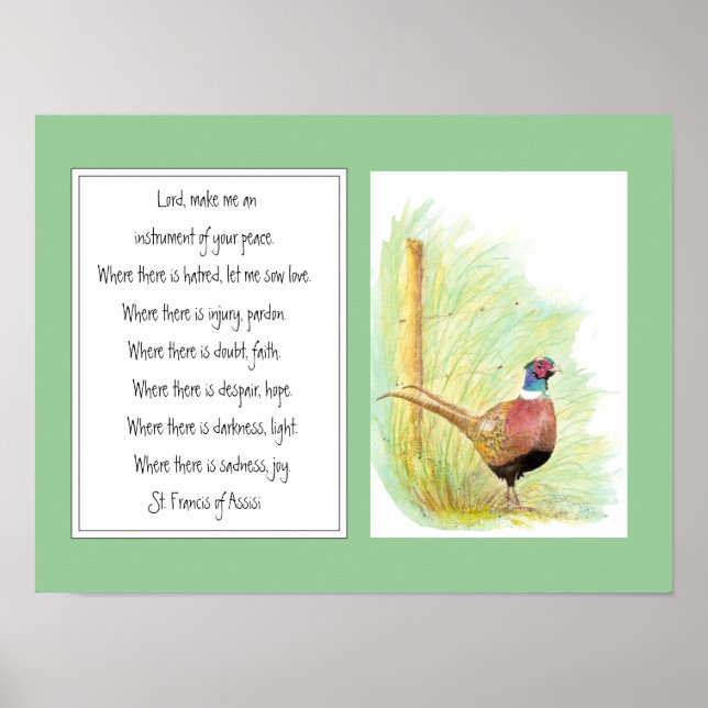 St. Francis of Assisi, Prayer Ring Necked Pheasant Poster (Front)