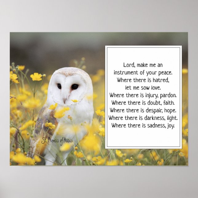 St. Francis of Assisi Prayer with Barn Owl  Poster (Front)