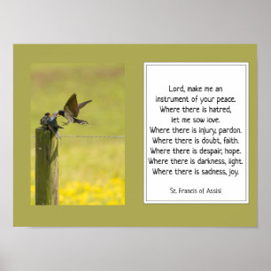 St. Francis of Assisi Prayer with Bird Family Poster