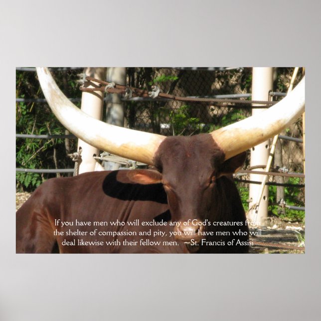 St. Francis of Assisi Quote about Animal Rights Poster (Front)