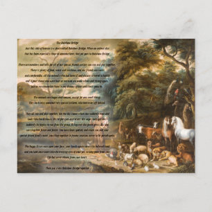 St. Francis of Assisi & The Rainbow Bridge Postcard