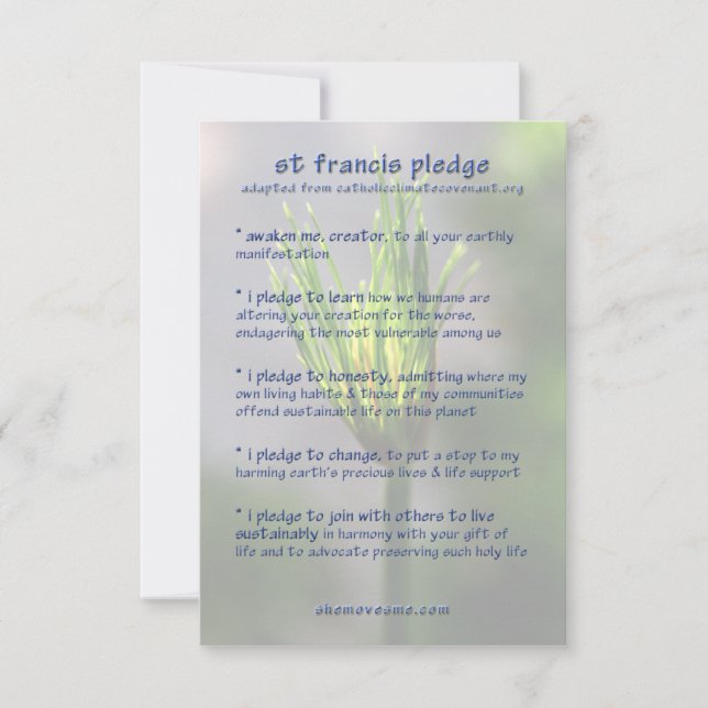 St Francis Pledge / Earth Charter card (Front)