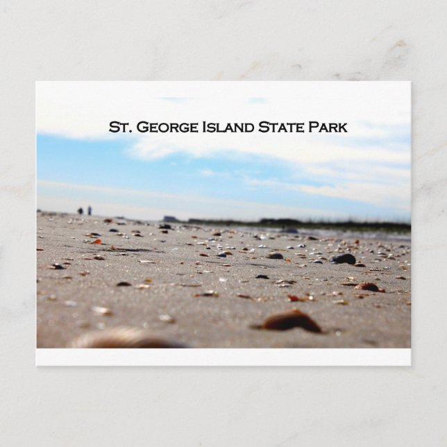 ST. GEORGE ISLAND STATE PARK - FLORIDA POSTCARD (Front)