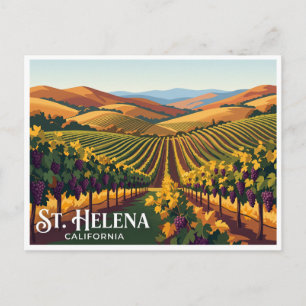 St. Helena Vineyard Rows California Postcard