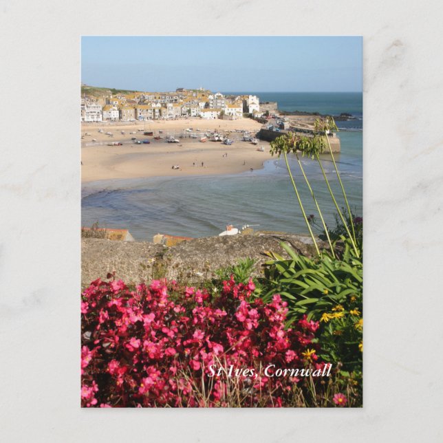 St Ives Harbour Pink Flowers Postcard (Front)