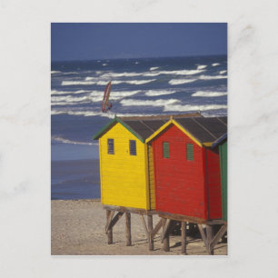 St. James Bay Bathing Boxes, near Capetown, 3 Postcard