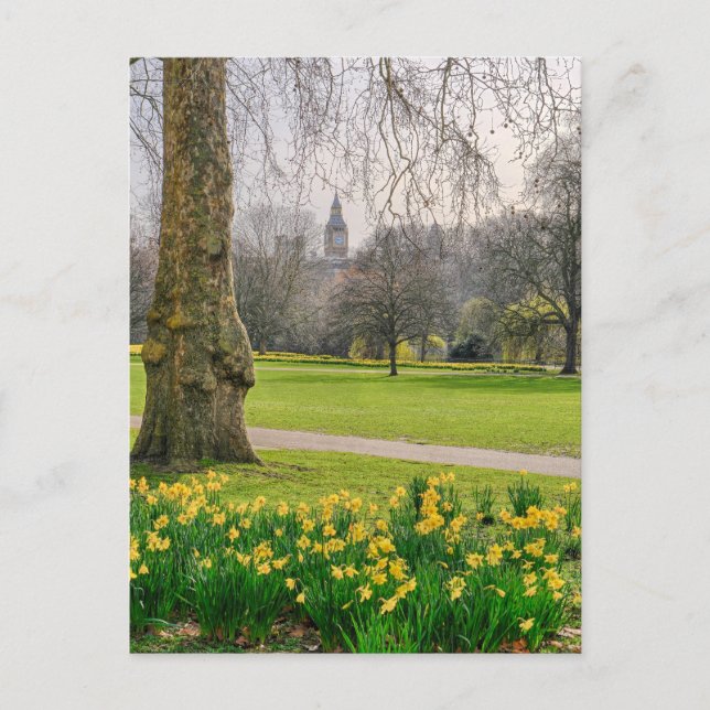 St James's Park London UK Postcard (Front)