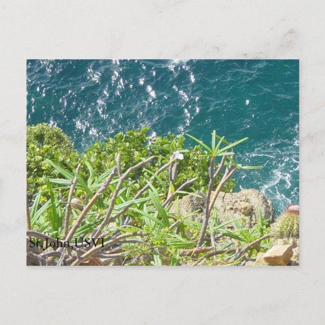 St.John,USVI Postcard (Front)