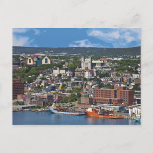 St. John's, Newfoundland, Canada, the coastline Postcard