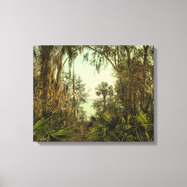 St. Johns River Florida 1898 Photo Canvas Print (Front)