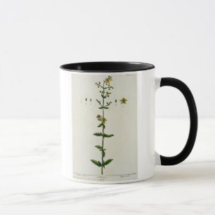 St. John's Wort, plate 15 from 'A Curious Herbal', Mug