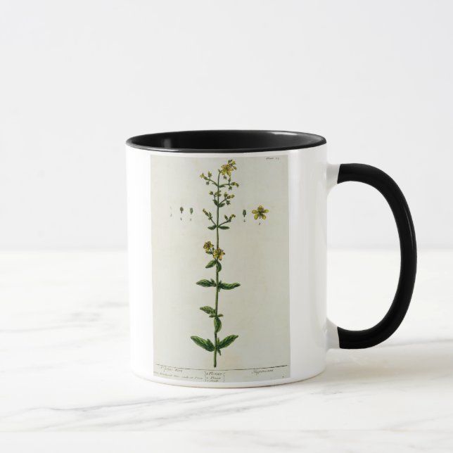 St. John's Wort, plate 15 from 'A Curious Herbal', Mug (Right)