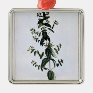 St. John's Wort, plate 62, from 'Collection Precie Metal Tree Decoration