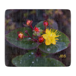 St. John's Wort Yellow Flower Personalised Cutting Board