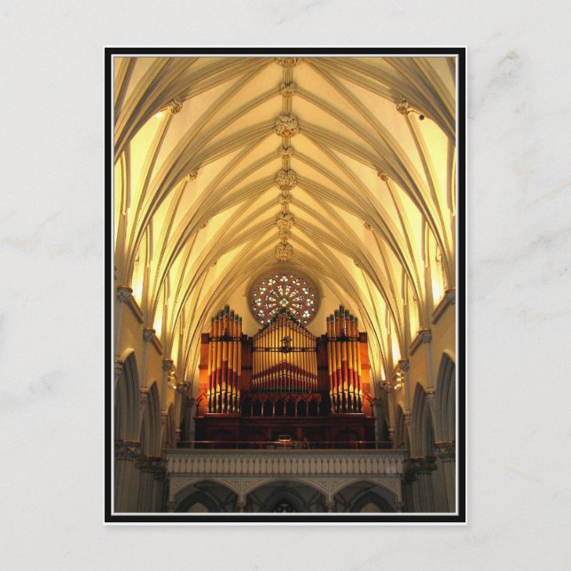 St. Joseph's Cathedral - Choir Loft / Organ Pipes Postcard (Front)