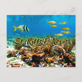 St. Kitts & Nevis coral reef Postcard
