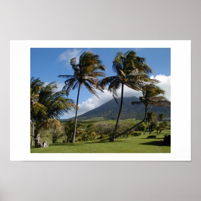 St Kitts Plantation Poster (Front)