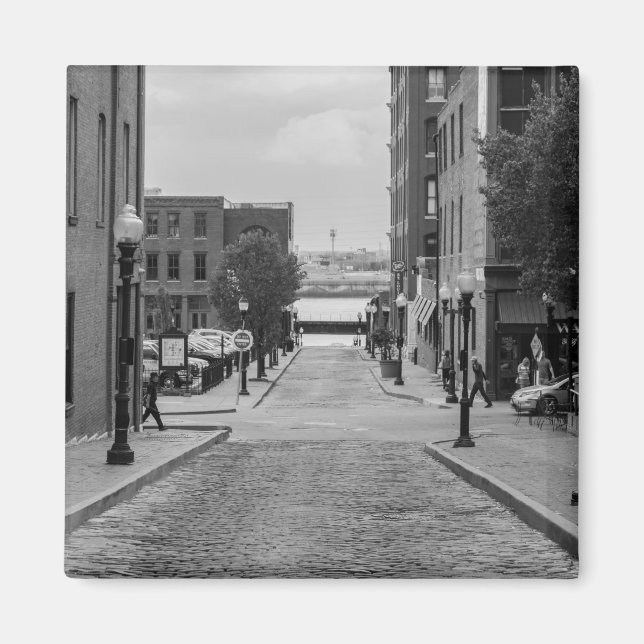 St Louis Alley Grayscale Magnet (Front)