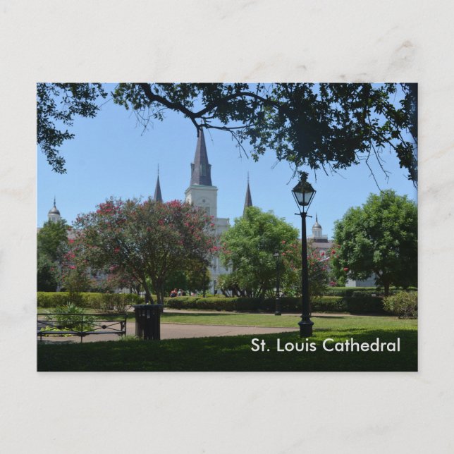 St. Louis Cathedral in the French Quarter Postcard (Front)
