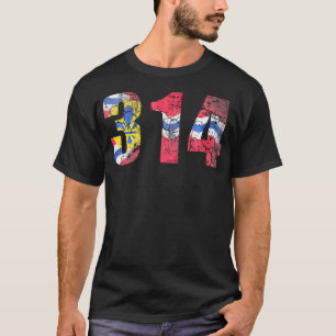 St Louis Flag Missouri 314 Vintage Distressed T-Shirt