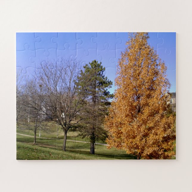 St Louis, MO Clifton Park Fall Trees Puzzle (Horizontal)