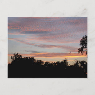 St. Louis Sunset Postcard