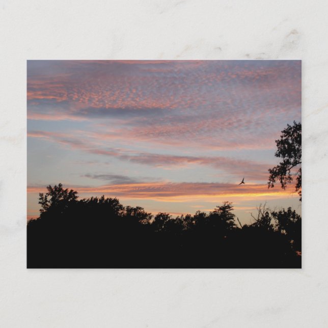 St. Louis Sunset Postcard (Front)