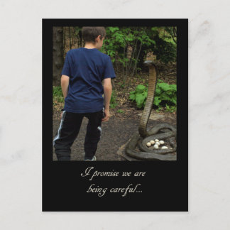 St Louis Zoo 2009 Postcard