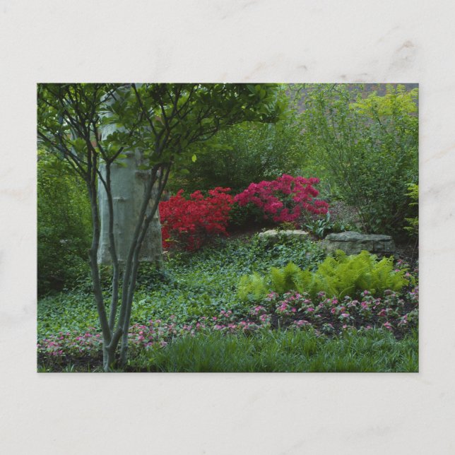 St Louis Zoo 2009 Postcard (Front)