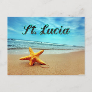 St. Lucia starfish Postcard