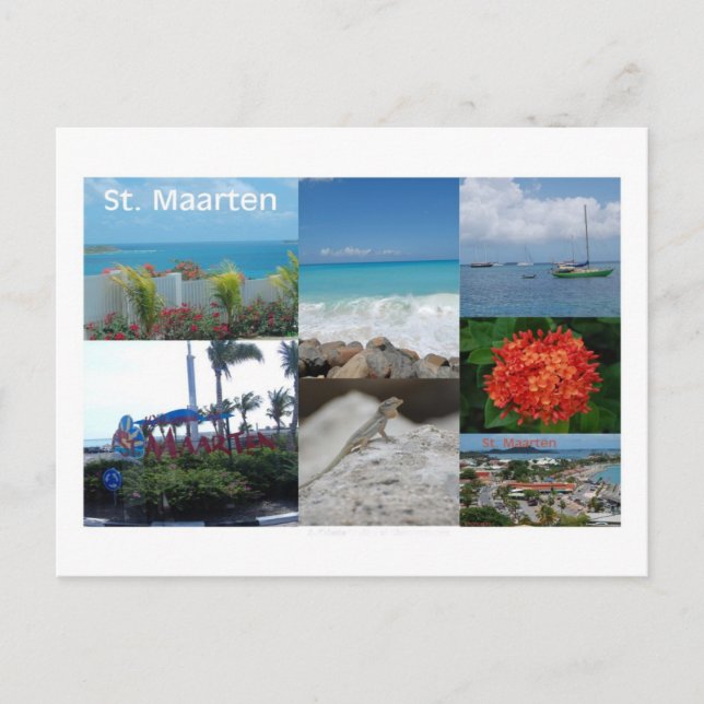 St. Maarten-Sint Martin Photography Collage Postcard (Front)