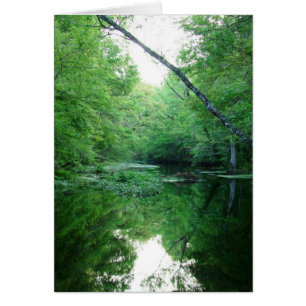 St. Marks River