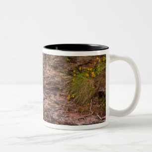 St Mary Falls in Glacier National Park in Two-Tone Coffee Mug
