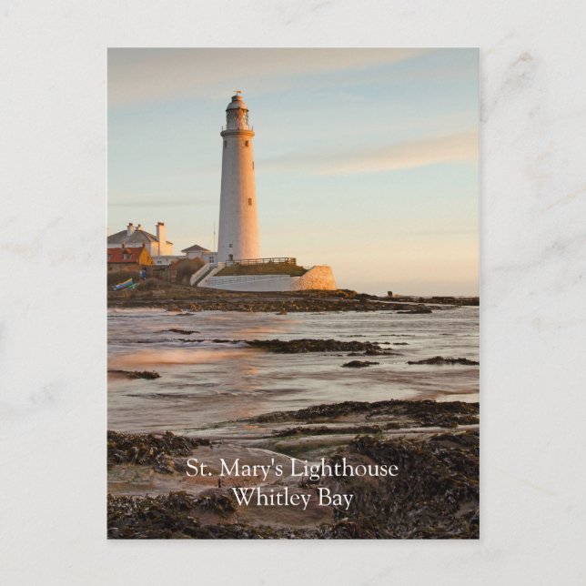 St Mary’s Lighthouse England Postcard (Front)