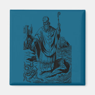 St patrick catholic saint patricks day snakes magnet