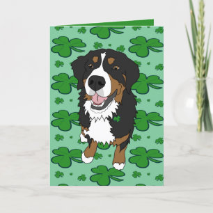 St. Patrick’s Day Bernese Mountain Dog  Holiday Card