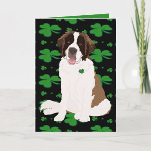 St. Patrick’s Day Saint Bernard Holiday Card