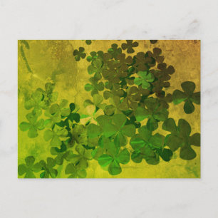 St. Patrick’s Day Shamrock Postcard