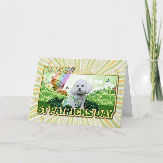 St Patrick's Day - Bichon Frise - Mia Card (Front)