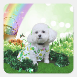 St Patrick's Day - Bichon Frise - Mia Square Sticker