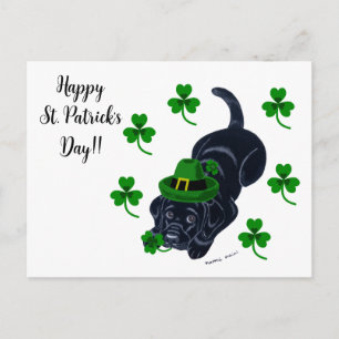 St. Patrick's Day Black Labrador Puppy Postcard
