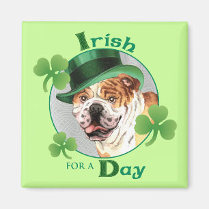 St. Patrick's Day Bulldog Magnet