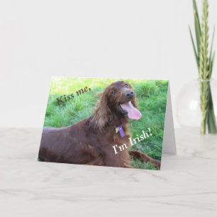 St. Patrick's Day Card Featuring an Irish Setter