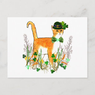 St. Patrick's Day Cat Postcard