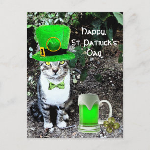 ST PATRICK'S DAY CAT WITH GREEN IRISH BEER POSTCARD