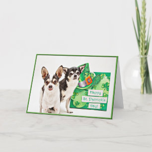 St. Patrick's Day Chihuahua's Card