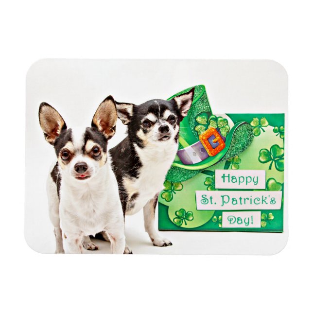 St. Patrick's Day Chihuahua's Magnet (Horizontal)