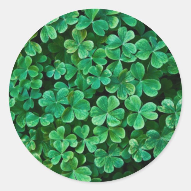 St. Patrick's Day Clover patch Classic Round Sticker (Front)