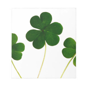 st patricks day clover shamrock notepad